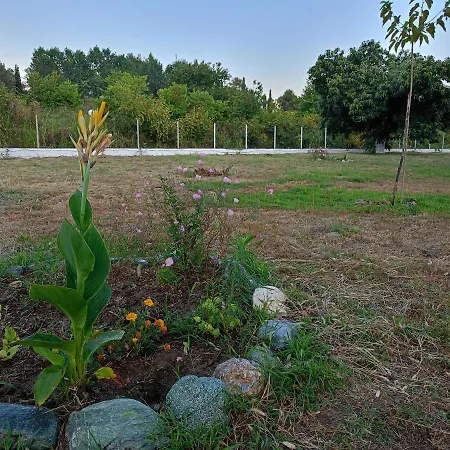 Adamidis * Paralia Skotinis