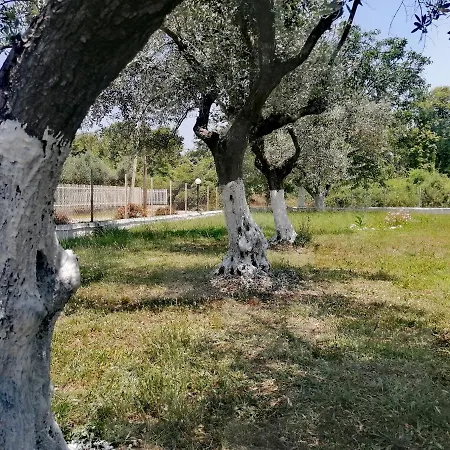 Apartament Adamidis *