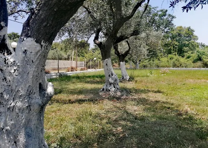Apartament Adamidis *